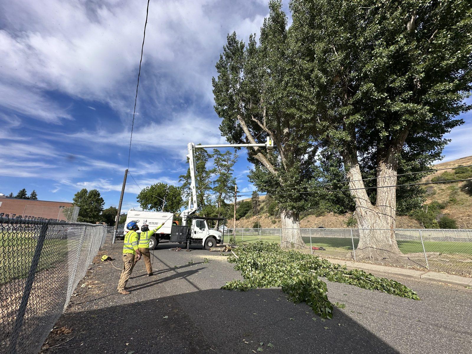 J&J's Tree Service bucket truck removing a large tree along a Palouse street