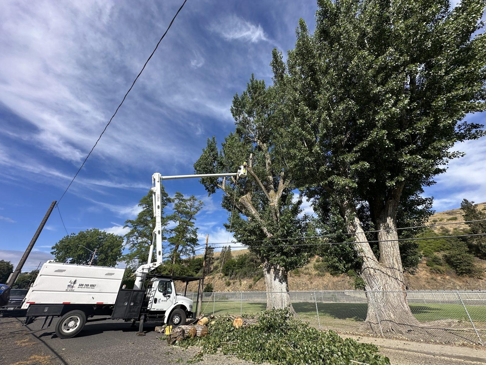 J&J's Tree Service fleet trucks staged for a tree job