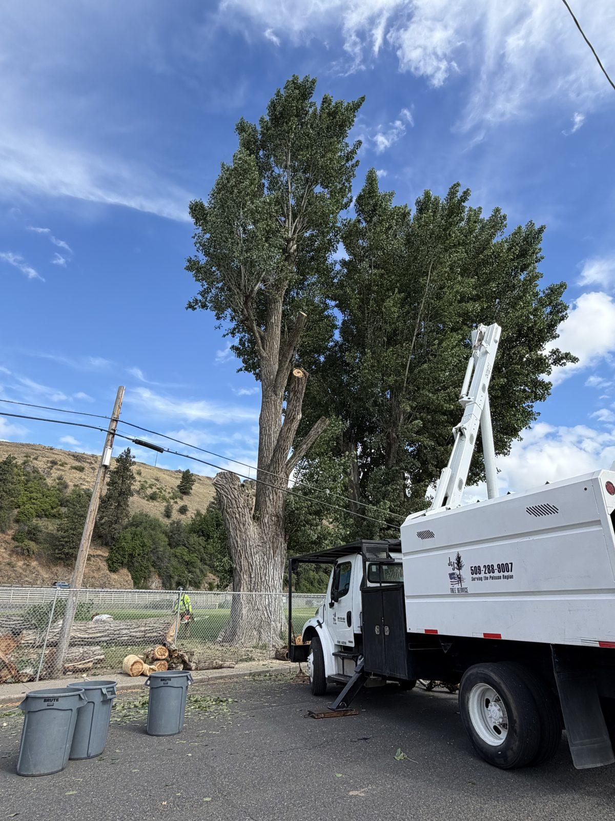 J&J's Tree Service truck hauling away brush after a job