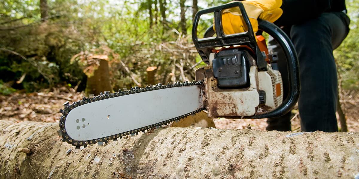 Chainsaw cutting through a tree trunk