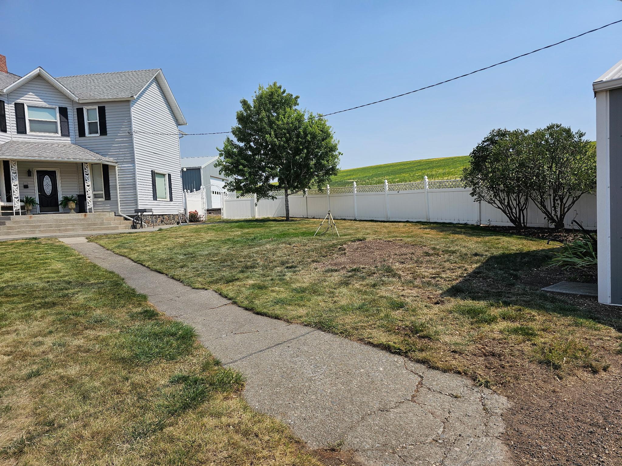 Finished tree removal job with a clean yard and no debris left behind