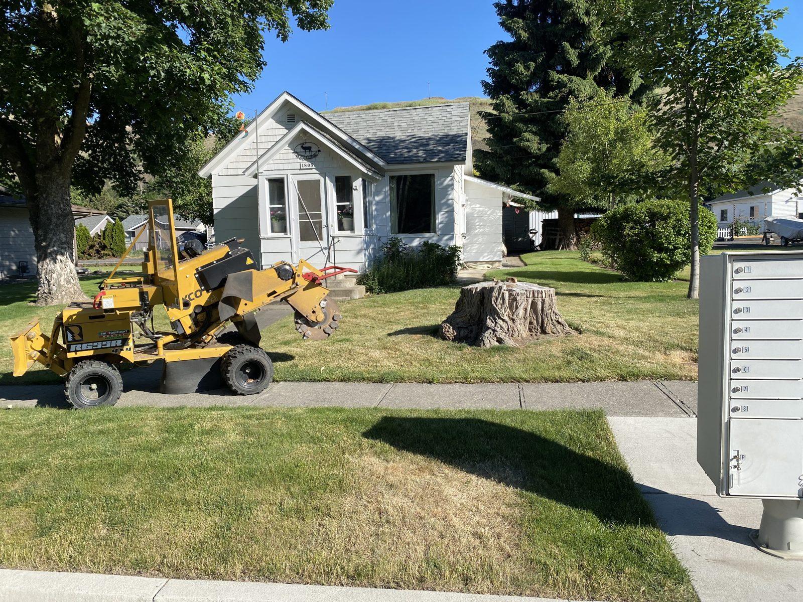 Compact loader and equipment on a residential tree job in Colfax, WA