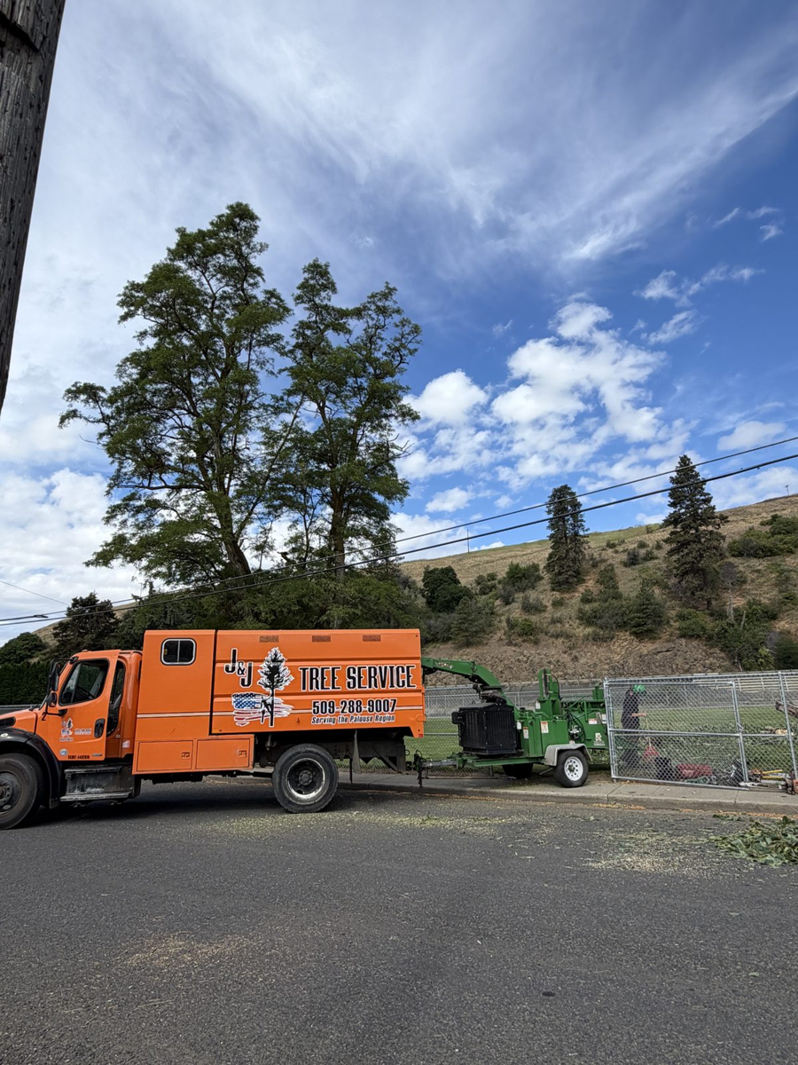 J&J's Tree Service truck and chipper loaded with debris on a job site