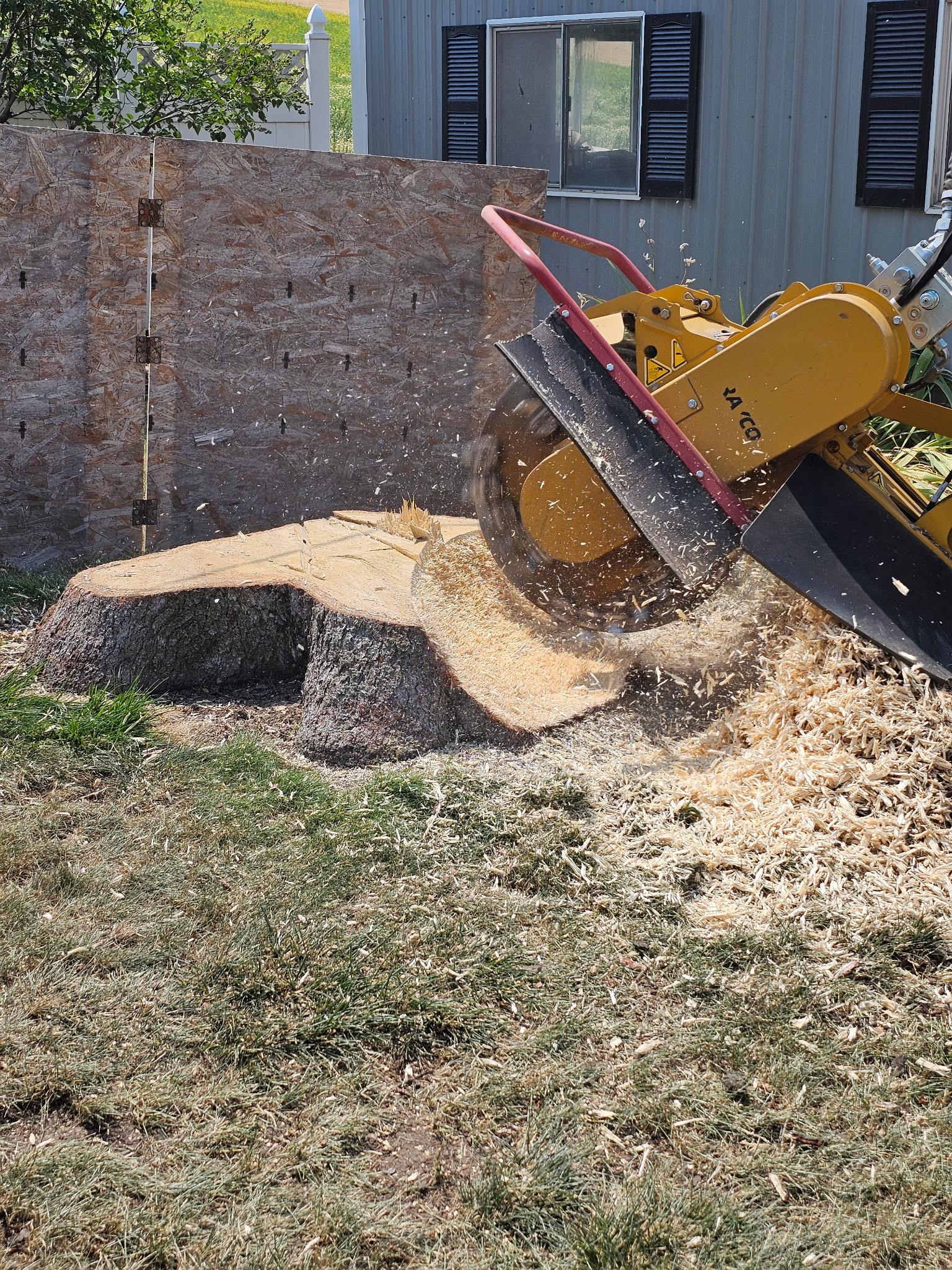 Stump grinding job in Colfax, WA