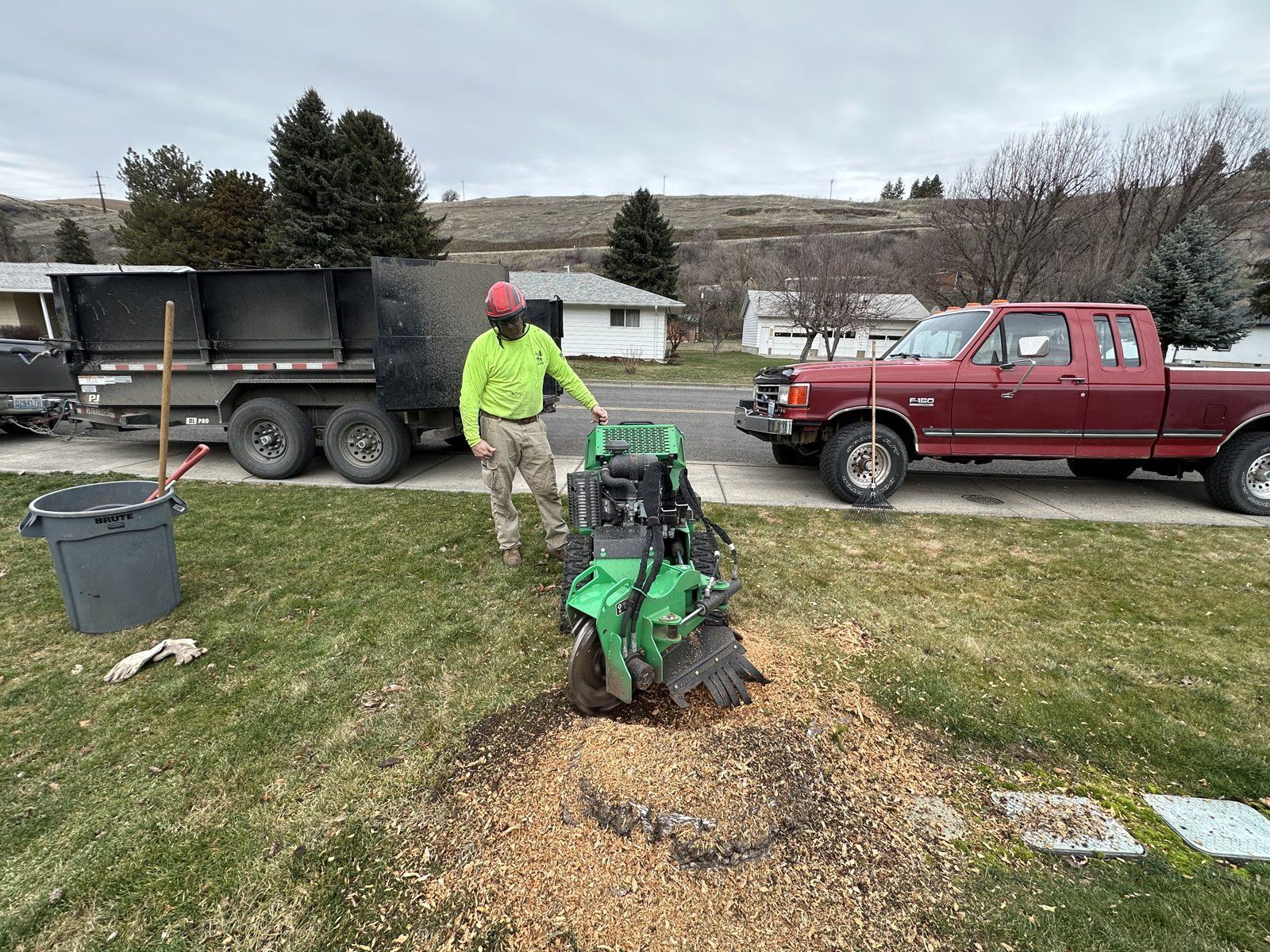 J&J's Tree Service worker grinding a stump on a residential lawn