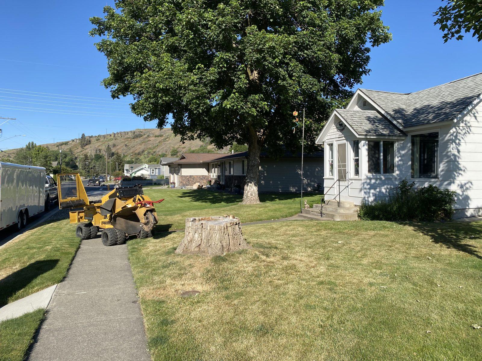 Residential property groundwork and cleanup