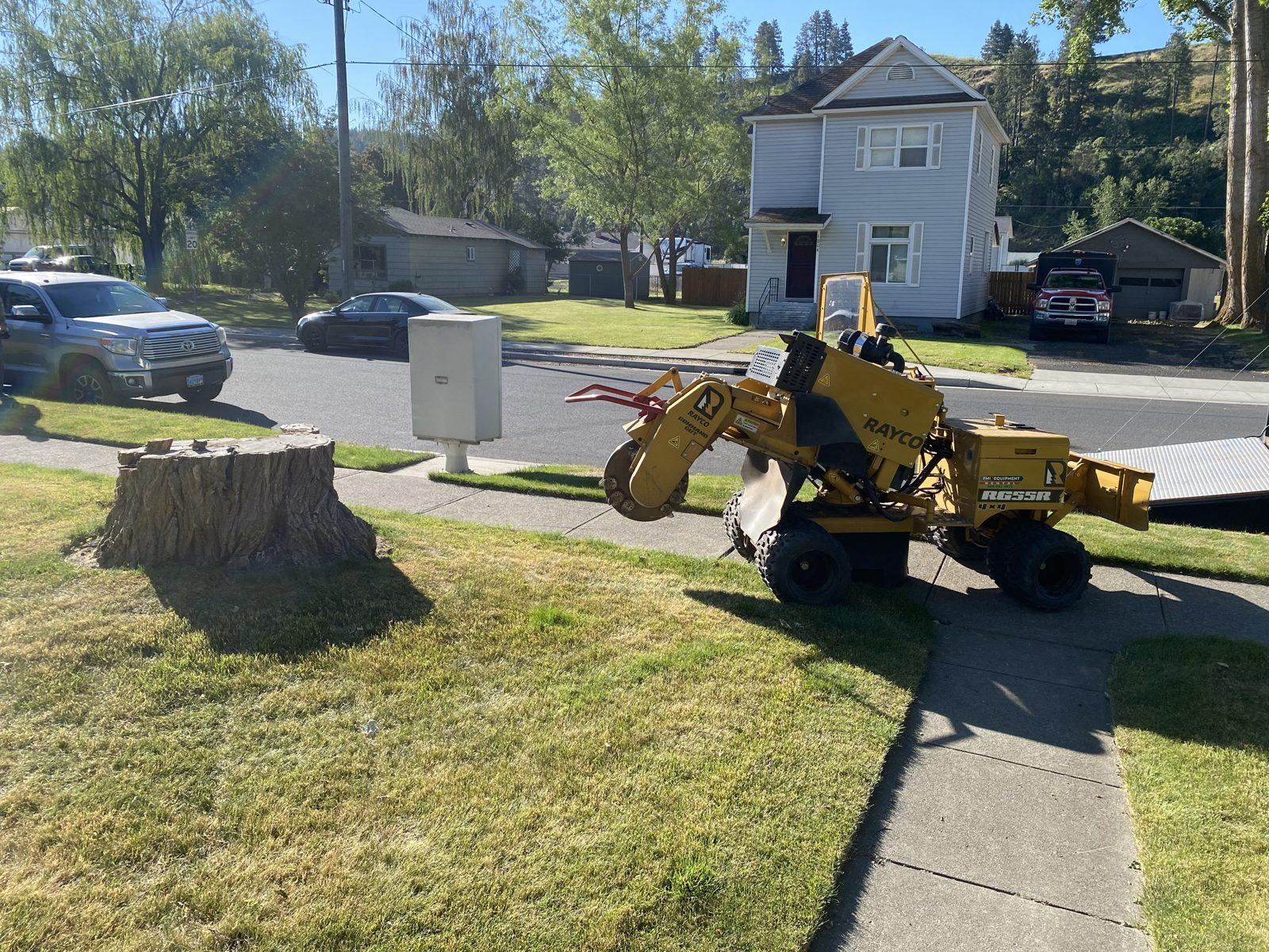 Tidying a residential landscape after tree work