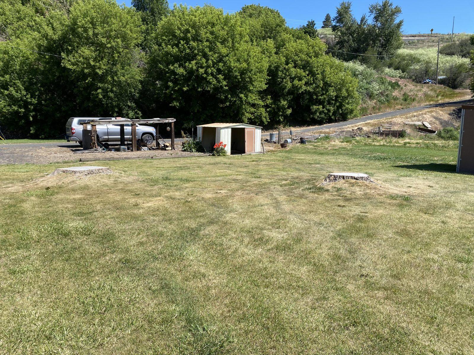 Reclaimed lawn after stump grinding
