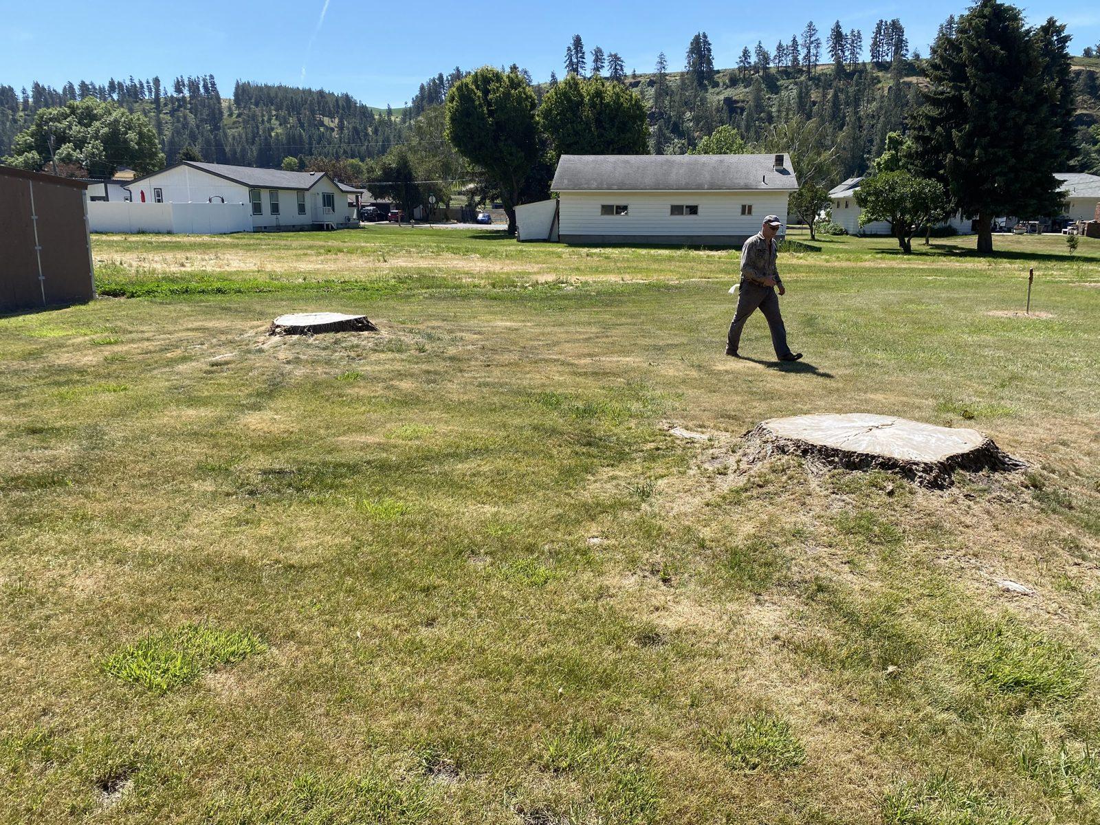 Tidy, well-maintained yard on a Palouse property