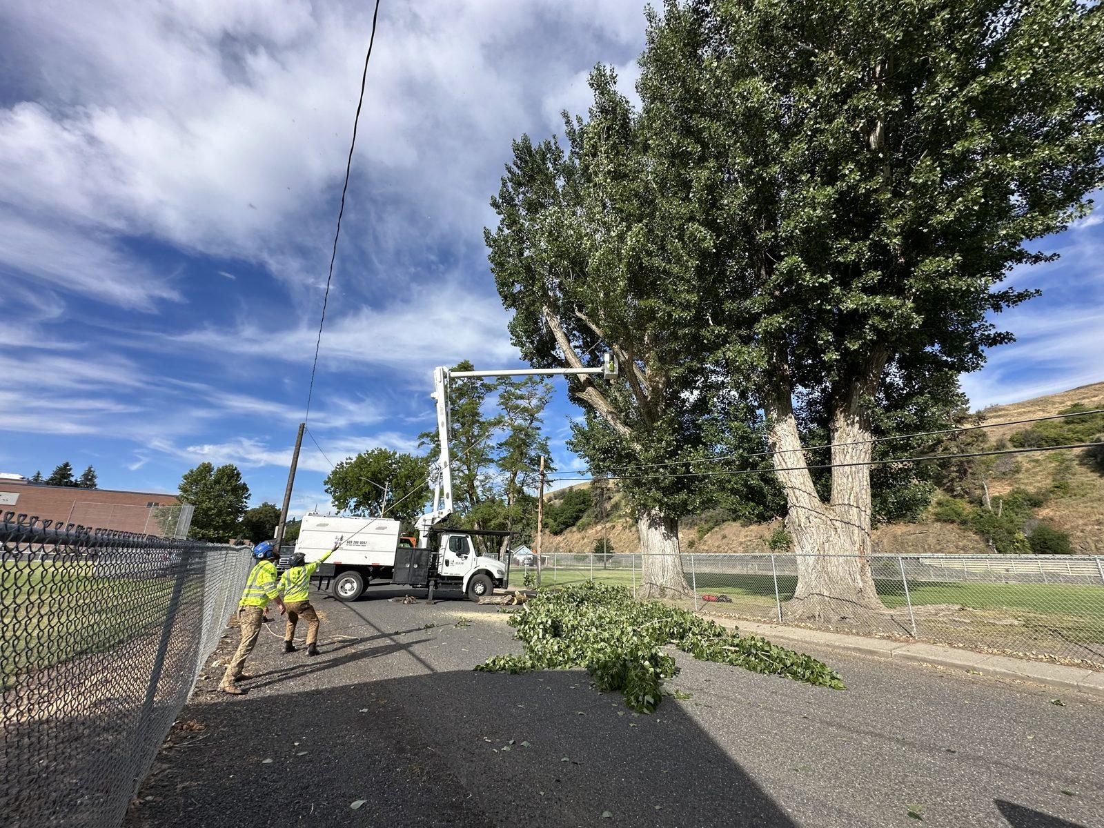 Crew and equipment on a tree job along a utility corridor
