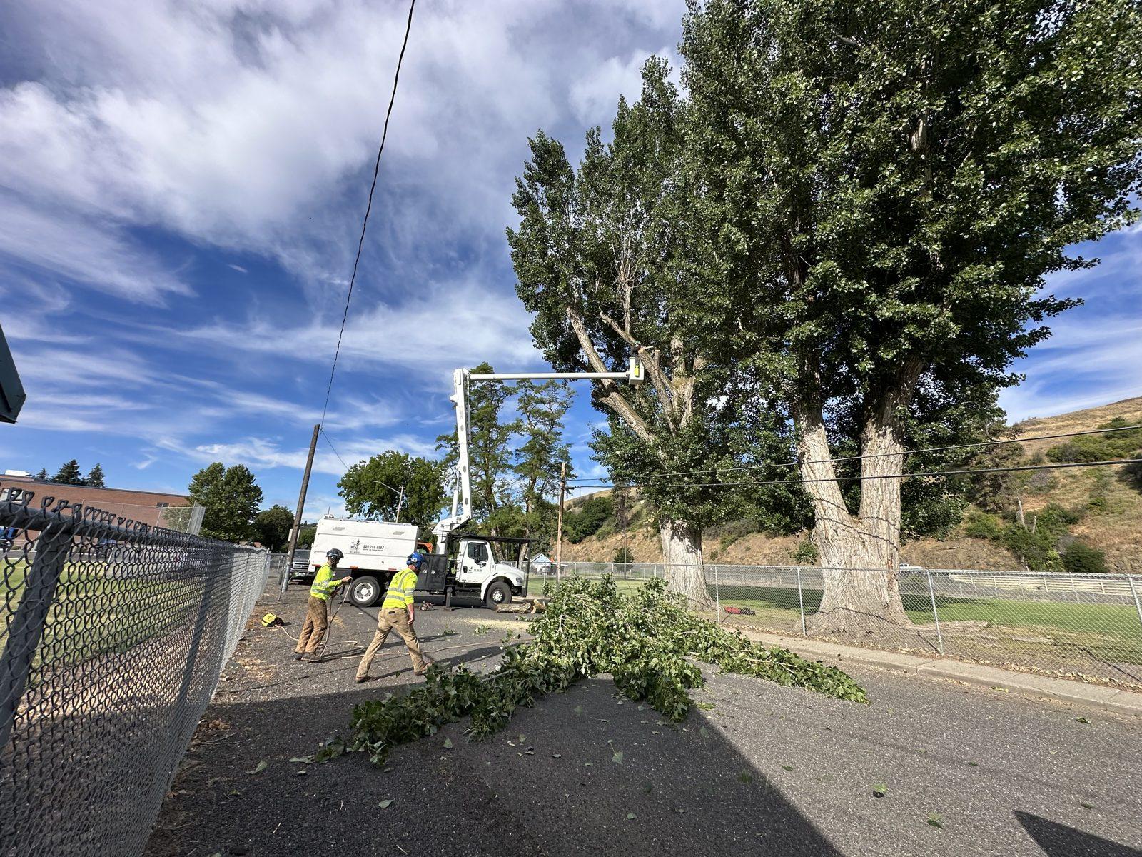 Right-of-way clearing along a street
