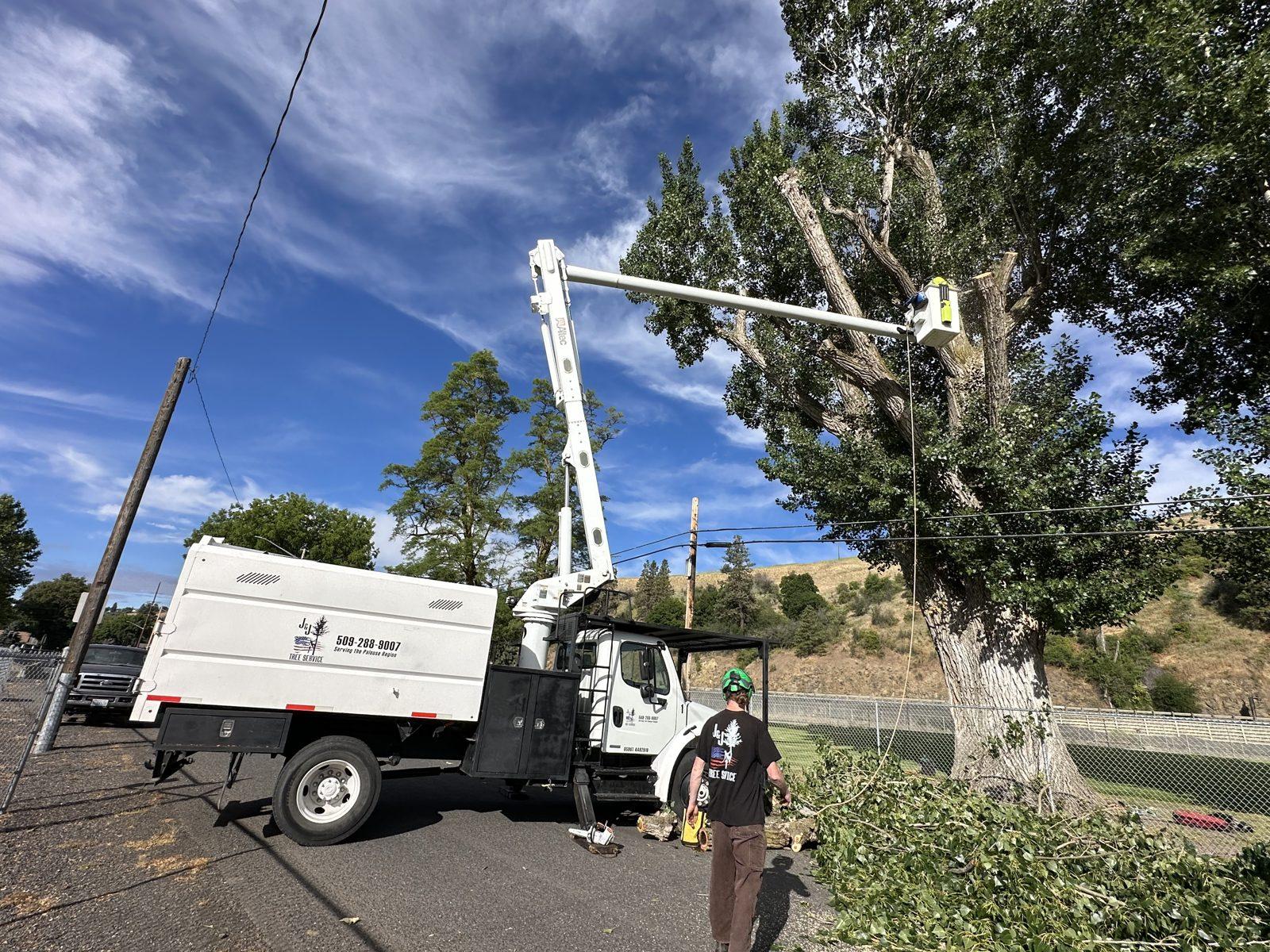 Working the upper canopy of a mature tree from the bucket