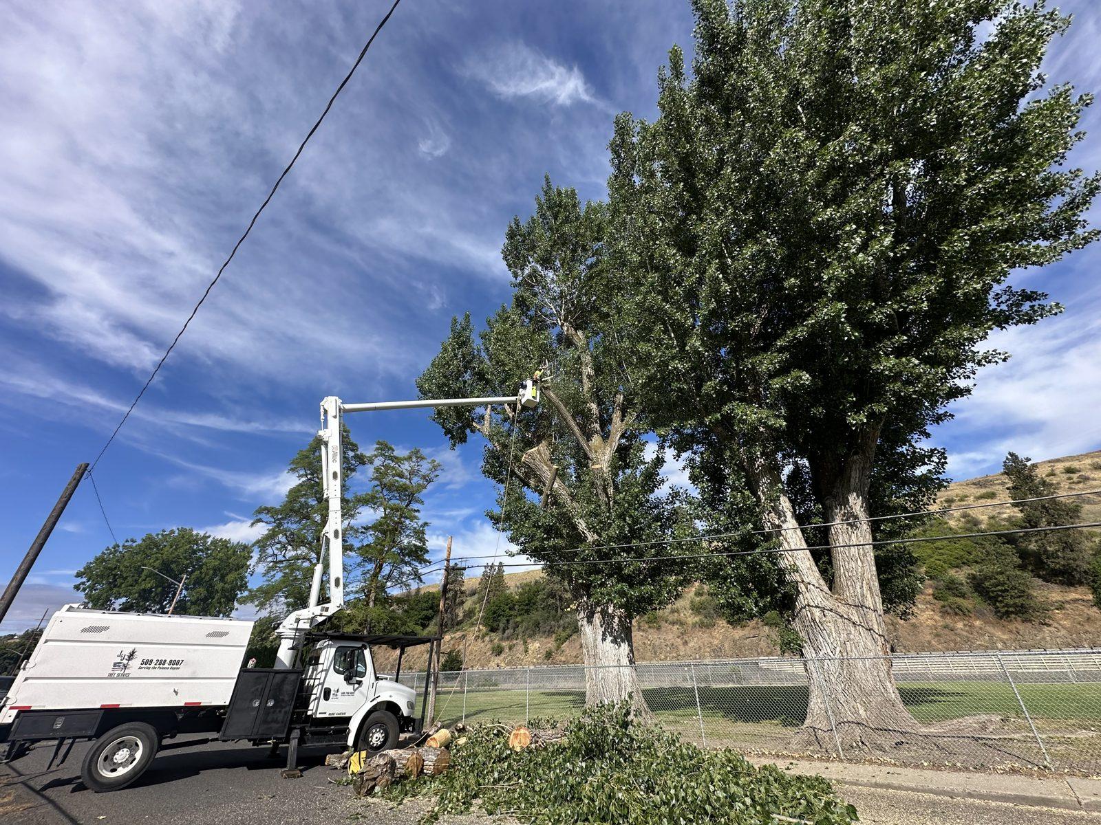 Bucket truck clearing trees near overhead power lines