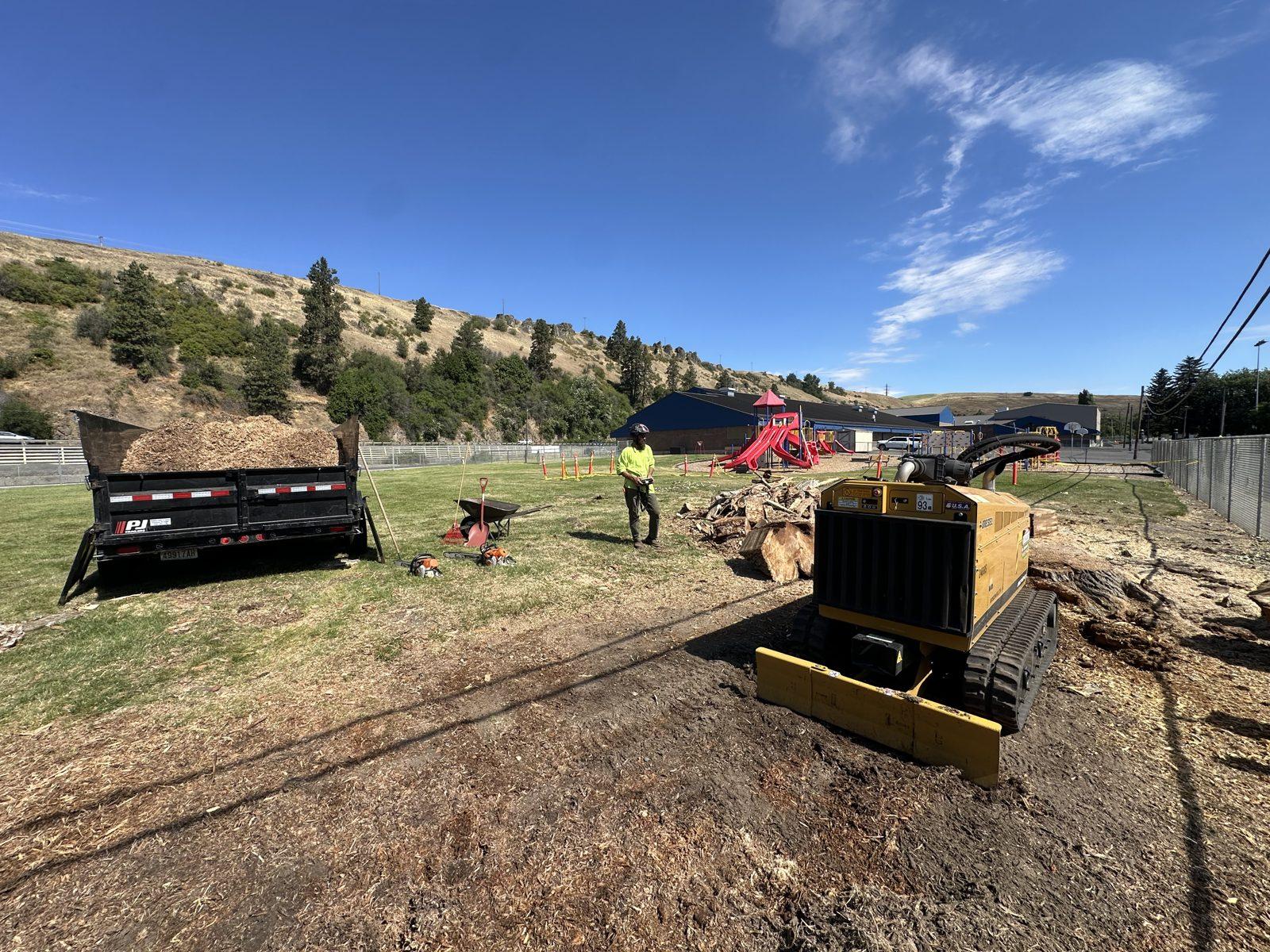 Stump grinding and site cleanup at a Palouse job