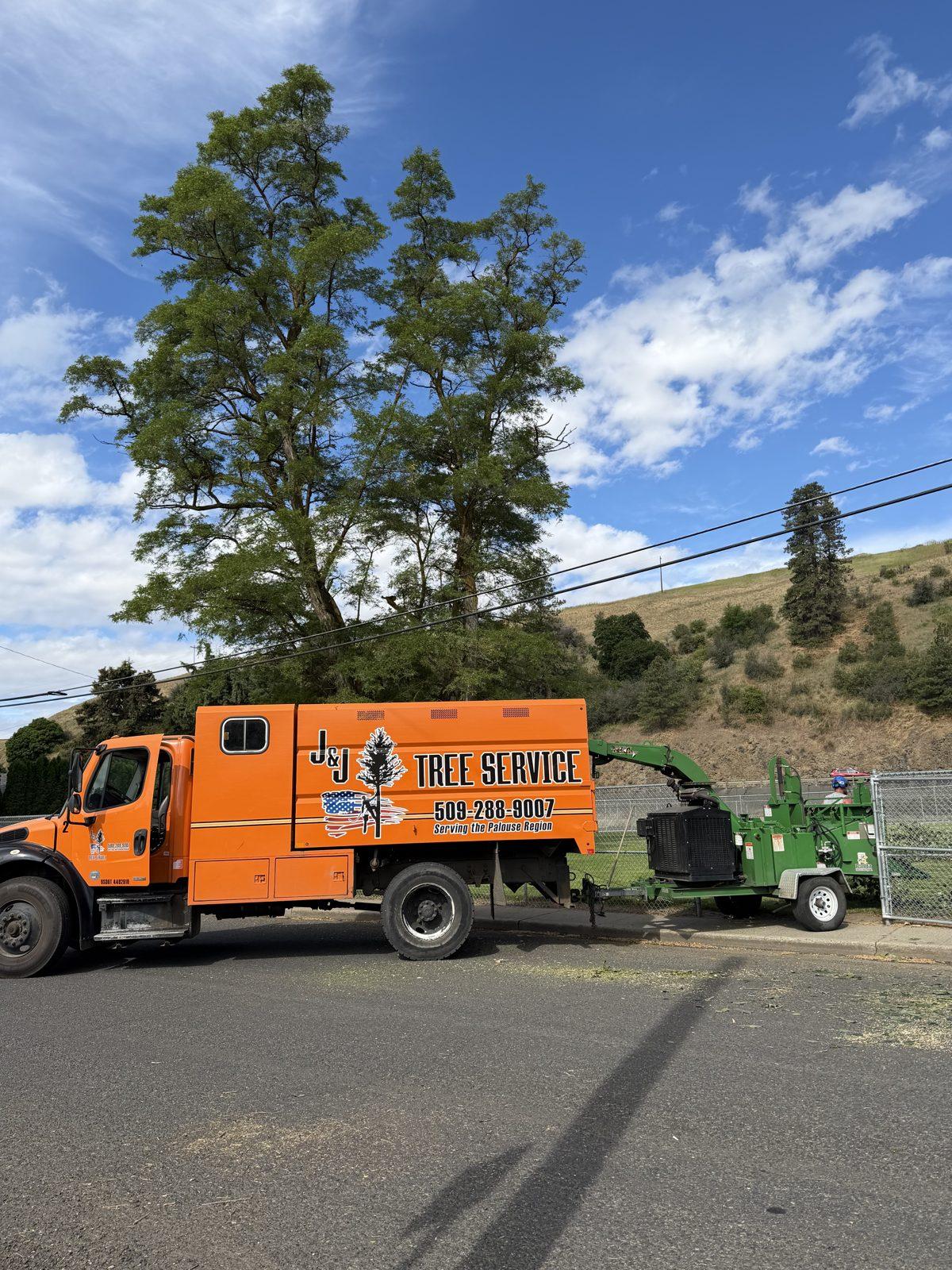 Orange J&J's Tree Service truck loaded with removed tree debris
